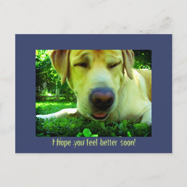 I hope you feel better soon! postcard (Front)