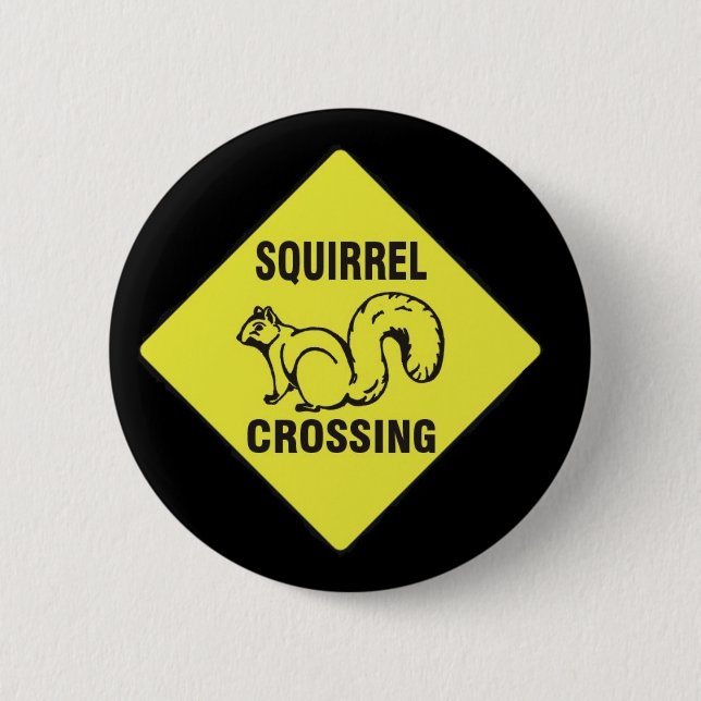 I icked a squirrel pin (Front)