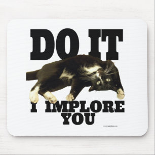 I Implore You Motivational Cat Photo Saying Mouse Pad