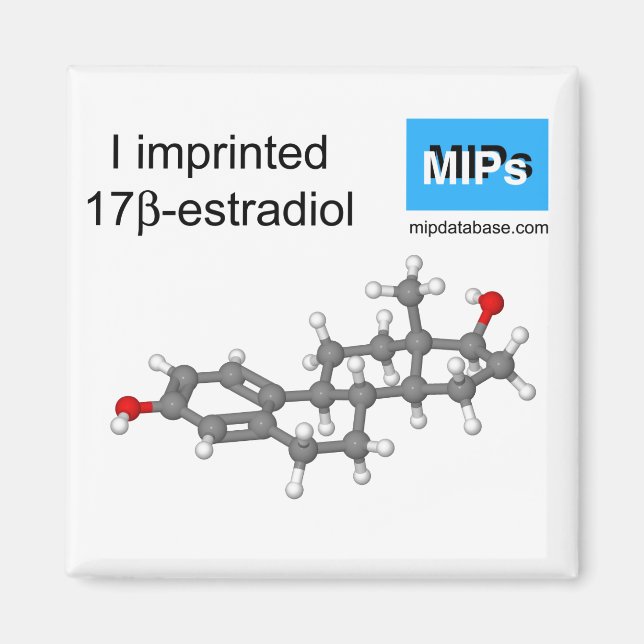I imprinted estradiol magnet ball and stick (Front)