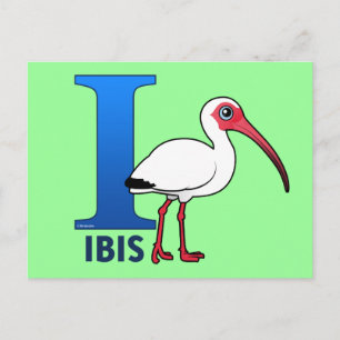 I is for Ibis Postcard