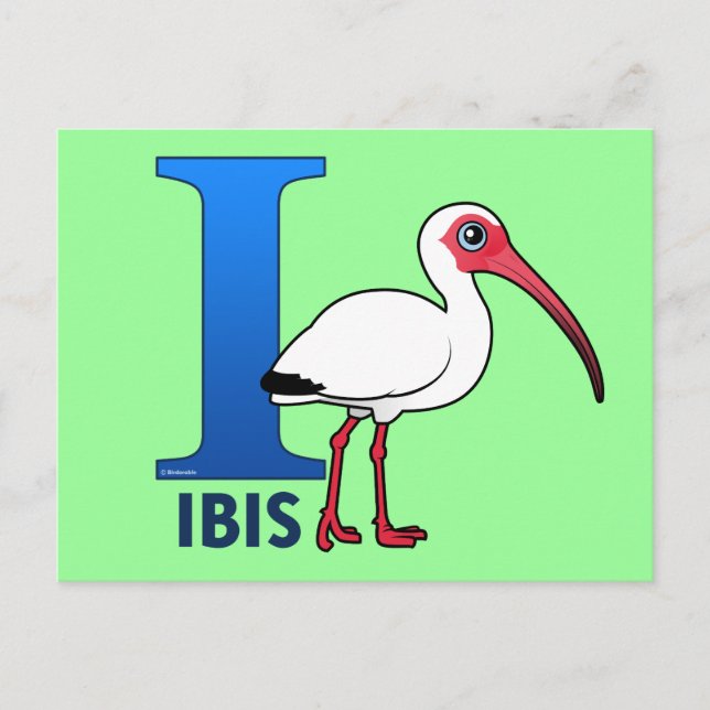 I is for Ibis Postcard (Front)