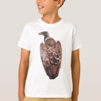 I is for Indian Vulture