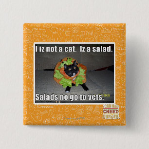 I iz not a cat. Iz a salad. 2 Inch Square Button