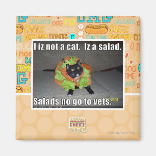 I iz not a cat. Iz a salad. Magnet