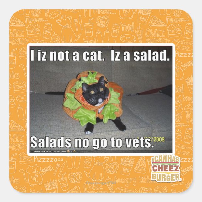 I iz not a cat. Iz a salad. Square Sticker (Front)