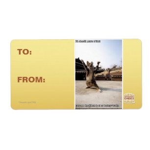 I iz shaolin paws of fury