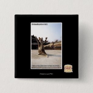 I iz shaolin paws of fury 2 inch square button