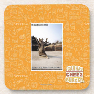 I iz shaolin paws of fury coaster