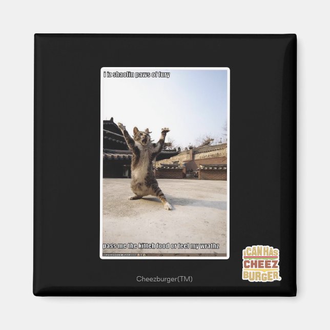 I iz shaolin paws of fury magnet (Front)