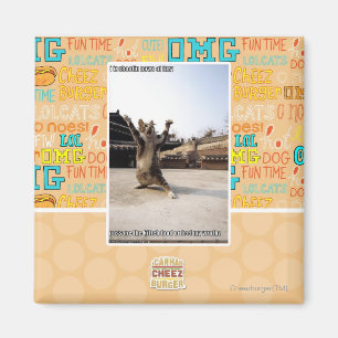 I iz shaolin paws of fury magnet