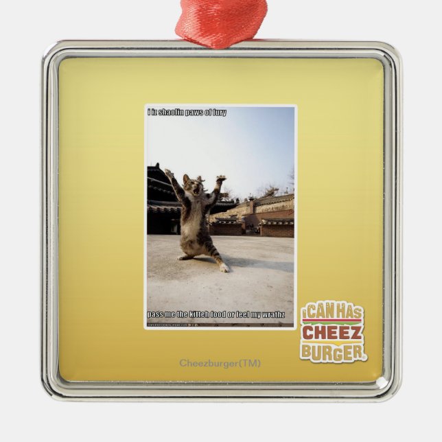 I iz shaolin paws of fury metal ornament (Front)