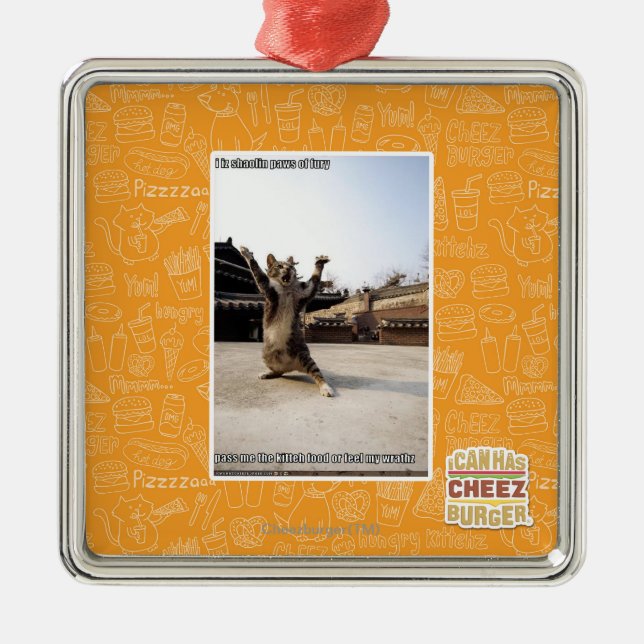 I iz shaolin paws of fury metal ornament (Front)