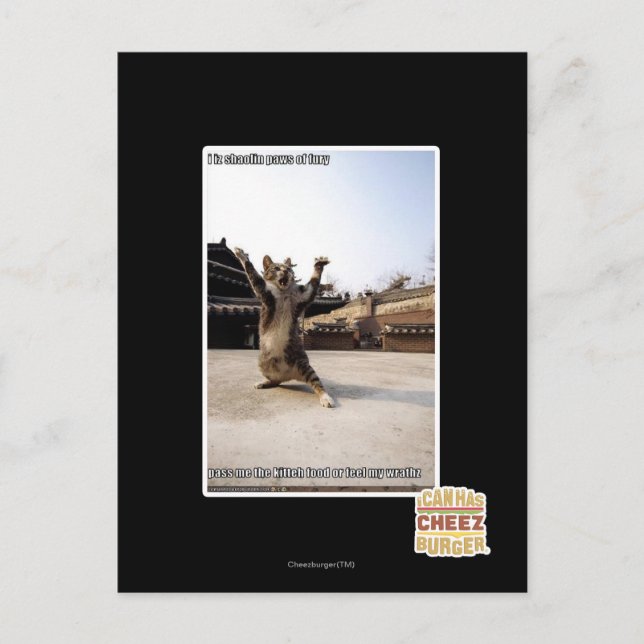 I iz shaolin paws of fury postcard (Front)