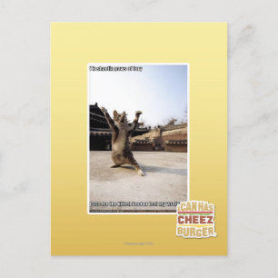 I iz shaolin paws of fury postcard