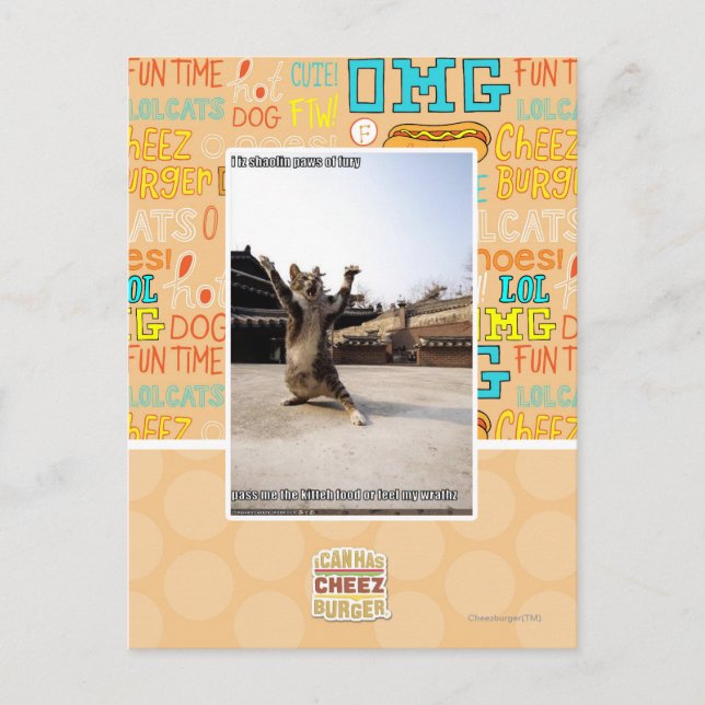 I iz shaolin paws of fury postcard (Front)