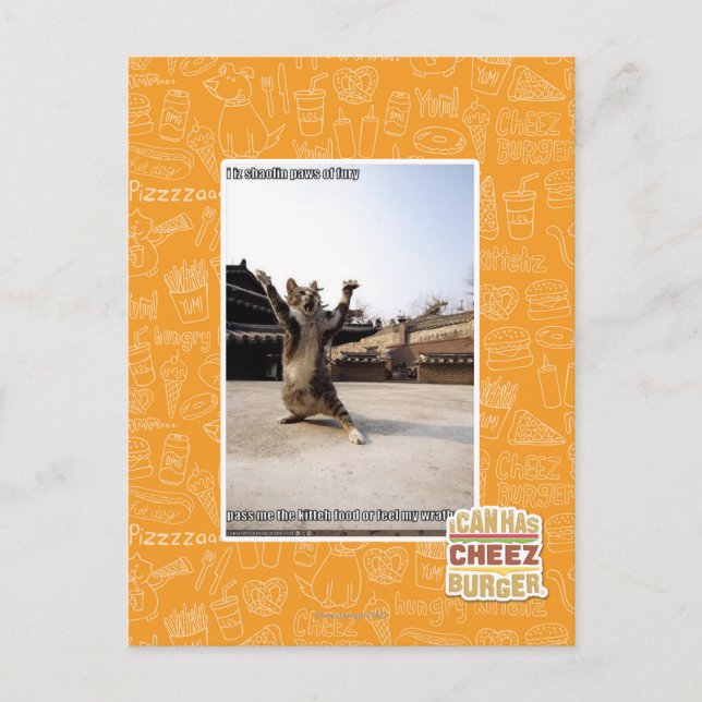I iz shaolin paws of fury postcard (Front)