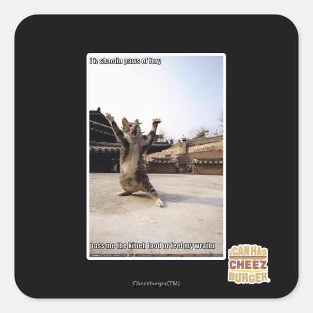 I iz shaolin paws of fury square sticker (Front)