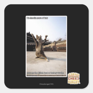 I iz shaolin paws of fury square sticker