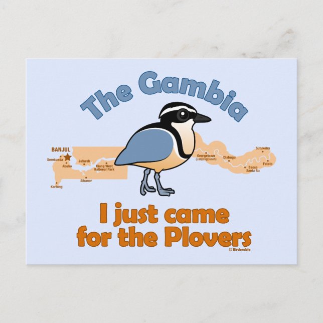 I Just Came for the Plovers Postcard (Front)
