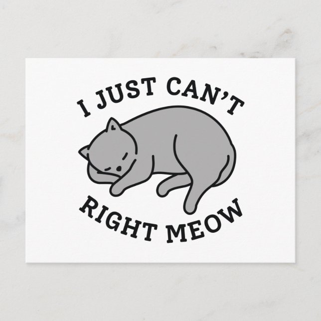 I Just Can’t Right Meow Postcard (Front)