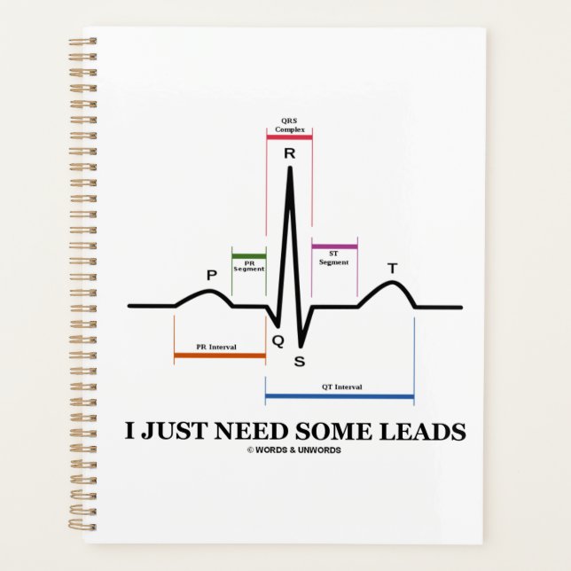 I Just Need Some Leads ECG EKG Medical Humour Planner (Front)