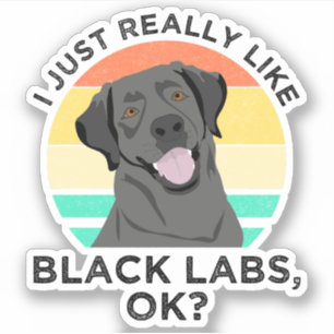 I Just Really Like Black Labs, OK?