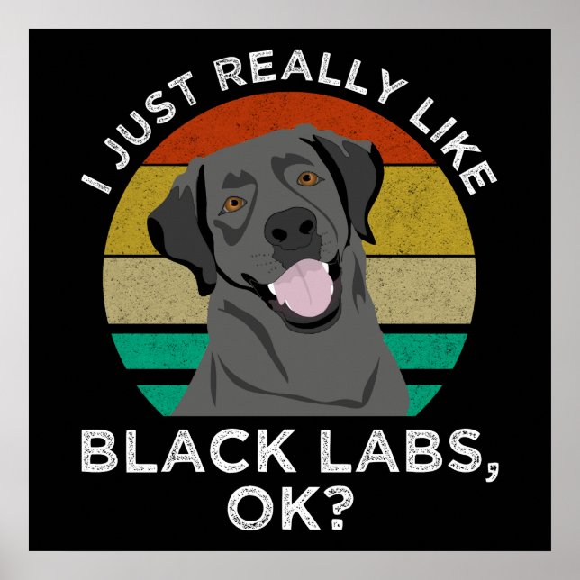 I Just Really Like Black Labs, OK? Poster (Front)