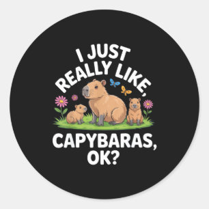 I Just Really Like Capybaras Ok_ Animal Lover Funn Classic Round Sticker
