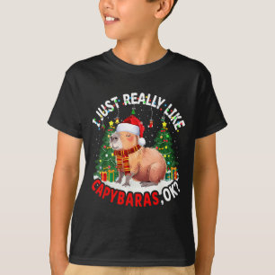I Just Really Like Capybaras Ok Capybara Animal Ch T-Shirt