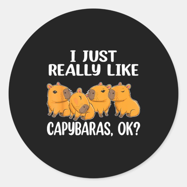 I Just Really Like Capybaras Ok Capybara Animal Ro Classic Round Sticker (Front)