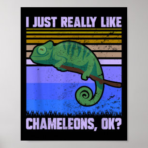 I Just Really Like Chameleons Ok Funny Quote Lizar Poster