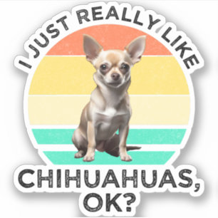 I Just Really Like Chihuahuas, OK?