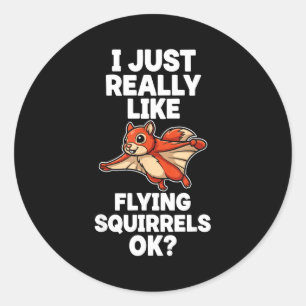 I Just Really Like Flying Squirrels Ok  Classic Round Sticker