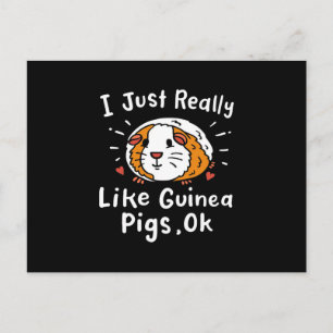 I Just Really Like Guinea Guinea Pig Kawaii Postcard