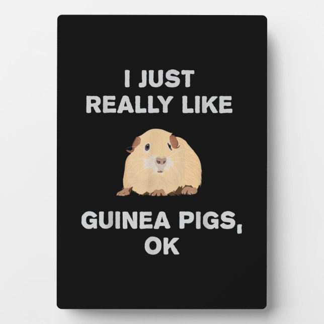 I Just Really Like Guinea Pigs Ok Funny Guinea Pig Plaque (Front)