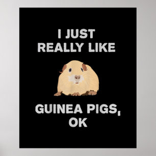 I Just Really Like Guinea Pigs Ok Funny Guinea Pig Poster