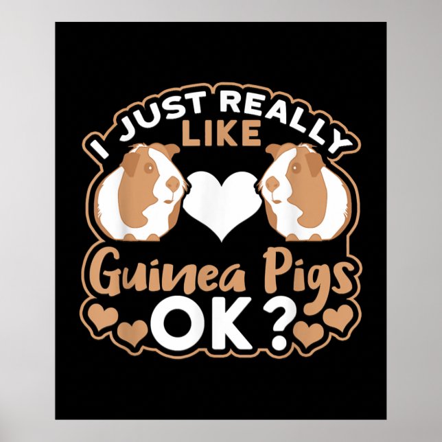 I Just Really Like Guinea Pigs OK ? Poster (Front)