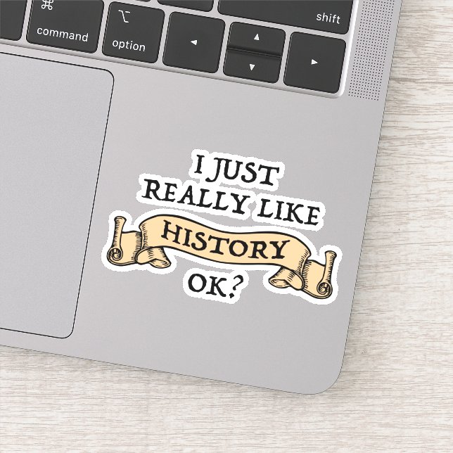 I Just Really Like History OK? Funny History Buff (Detail)