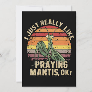 I Just Really Like Praying Mantis Ok Insect Retro Holiday Card
