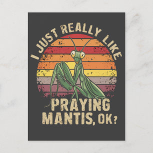 I Just Really Like Praying Mantis Ok Insect Retro Postcard