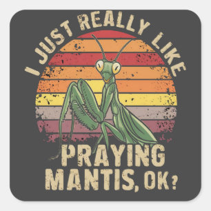I Just Really Like Praying Mantis Ok Insect Retro Square Sticker