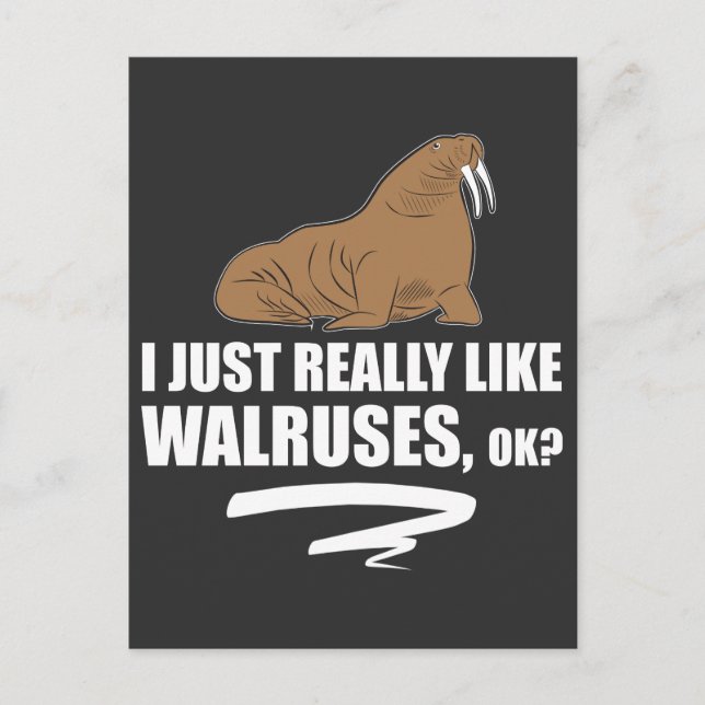 I Just Really Like Walruses OK - Funny Walrus Postcard (Front)