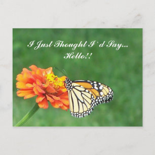 I Just Thought I`d Say... Hello!! Postcard