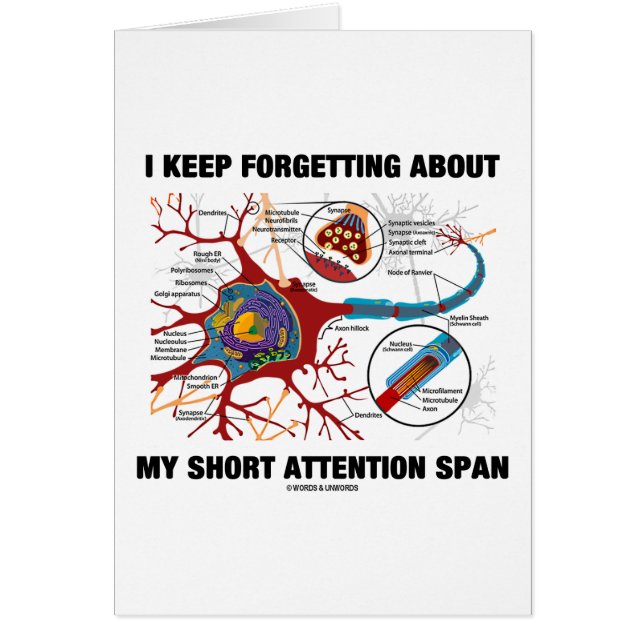 I Keep Forgetting About My Short Attention Span (Front)