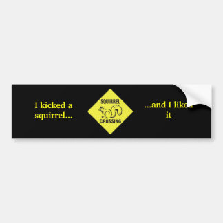 I Kicked a squirrel *NEW* Bumper Sticker