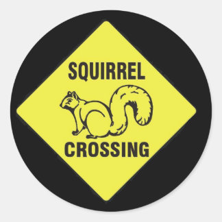 I kicked a squirrel stickers