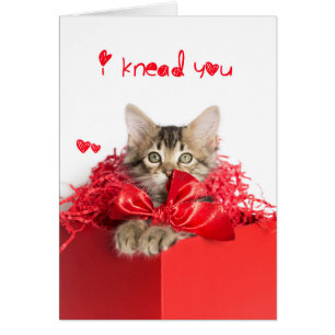 I knead You Kitten