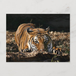 I knead you postcard