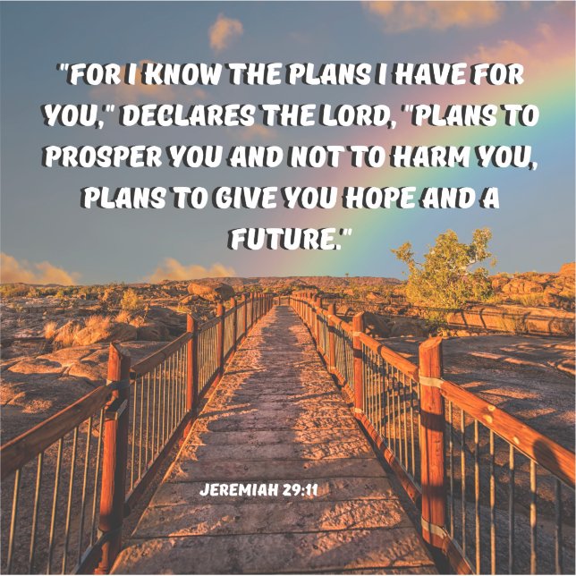 I Know The Plans For You, Jeremiah 29:11 Bible  (Front)